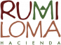 logo-rumiloma-grande logo-rumiloma-grande